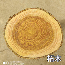 柘木原木料北方柘木穿破石DIY手工硬木雕刻实木料柘木棍弓料