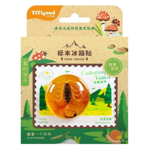 TiTigood千千谷标本儿童认知启蒙自然标本冰箱贴科学实验套装玩具