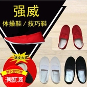 体操鞋 技巧鞋 踩背软底鞋 包邮 团体操鞋 练功鞋 厂家促销 杂技鞋 室内鞋