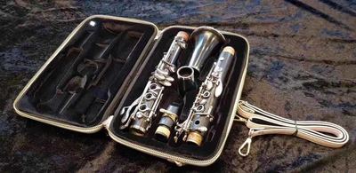 宝路bropro迷你便携单簧管