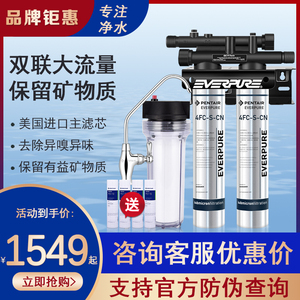 爱惠浦双联4FC-S/4FC-S净水器商用办公奶茶店咖啡机用净水器