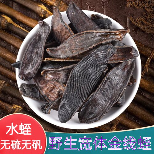 水蛭中药材500正品野生宽体金线蛭蚂蟥清水吊杆金边水蛭干包邮