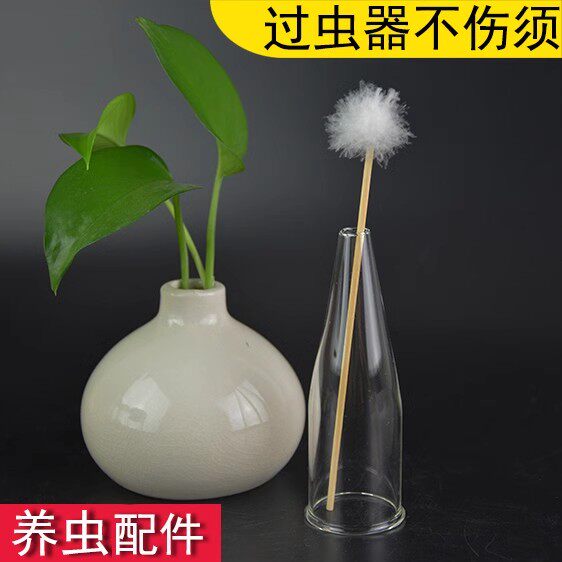 鸣虫用具蟋蟀蛐蛐捕网爬虫用品