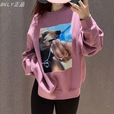 Nike耐克SB滑板系列圆领套头卫衣