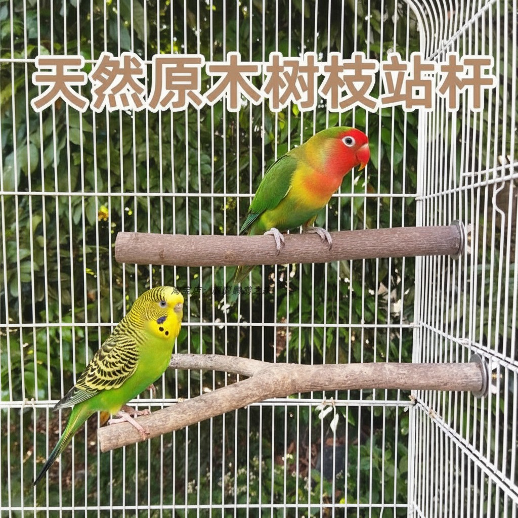 鹦鹉树杈站杆天然直站杆树杈虎皮牡丹玄凤鹦鹉站棒实木站棍栖木,宠物/宠物食品及用品,鸟类站杆,淘宝优惠券,粉丝福利购,淘宝优惠卷