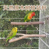 鹦鹉树杈站杆天然直站杆树杈虎皮牡丹玄凤鹦鹉站棒实木站棍栖木