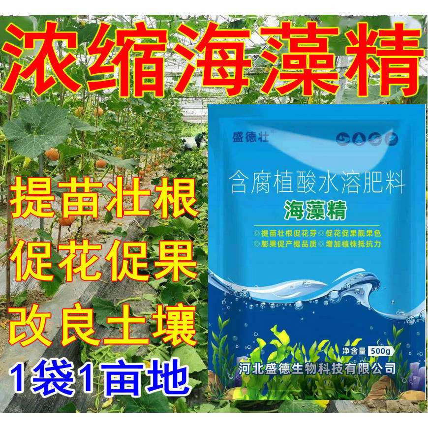 浓缩海藻精腐植酸水溶肥料海藻酸促生根壮根蔬菜花卉果树冲施肥粒