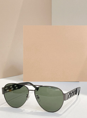 时尚新款太阳眼镜高品质高质感百搭遮阳潮大气2289金属