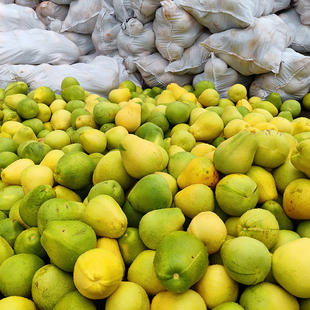 井冈蜜柚子吉安特产老树酸甜新鲜水果孕妇水果整箱10斤白心小苦柚