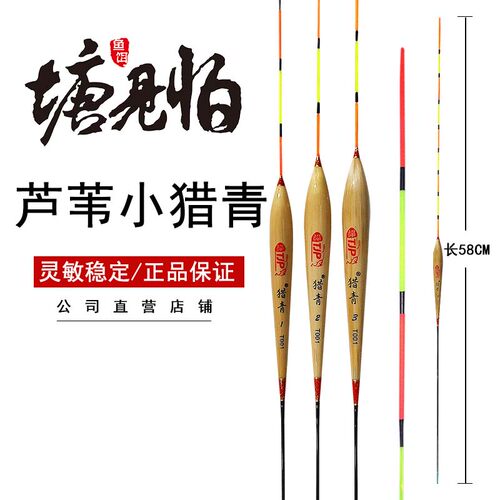 瑭见怕t001芦苇旗舰青鱼大物浮漂
