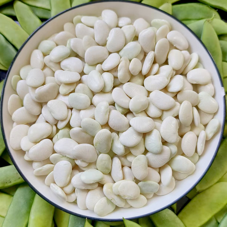 新鲜白玉豆福建农家自种白扁豆时令蔬菜崇明洋扁豆上饶玉山三清豆