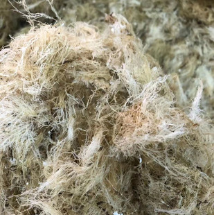 南澳特产潮汕海石花草野生100g凉粉膏草干货四果汤原料洋菜岩衣胶