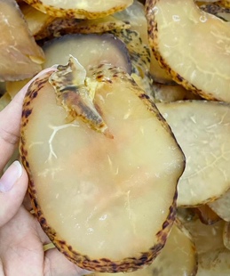 南澳野生响螺片渔民自晒干螺肉鲍螺肉海螺香螺干货海产煲汤料250g