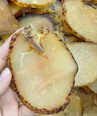 南澳野生响螺片渔民晒干