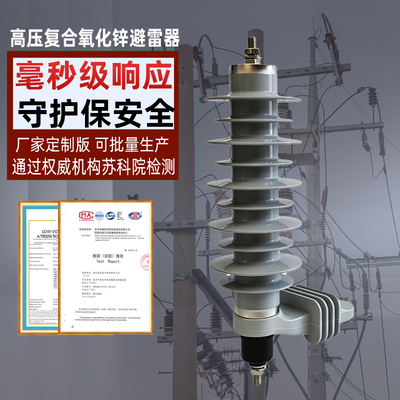 出口外贸YH10W-24KV氧化锌避雷器