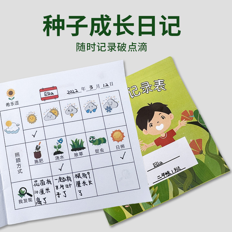 植物观察记录本成长记录卡幼儿园自然角生长学生活动区域种植日记