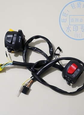适用铃木GT125X骏驰带熄火右手把座开关QS125-5GH左带超车灯开关