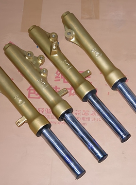 适用轻骑铃木韵彩QS100T前减震金黄色纪念版丽彩QS125T-2前叉避震