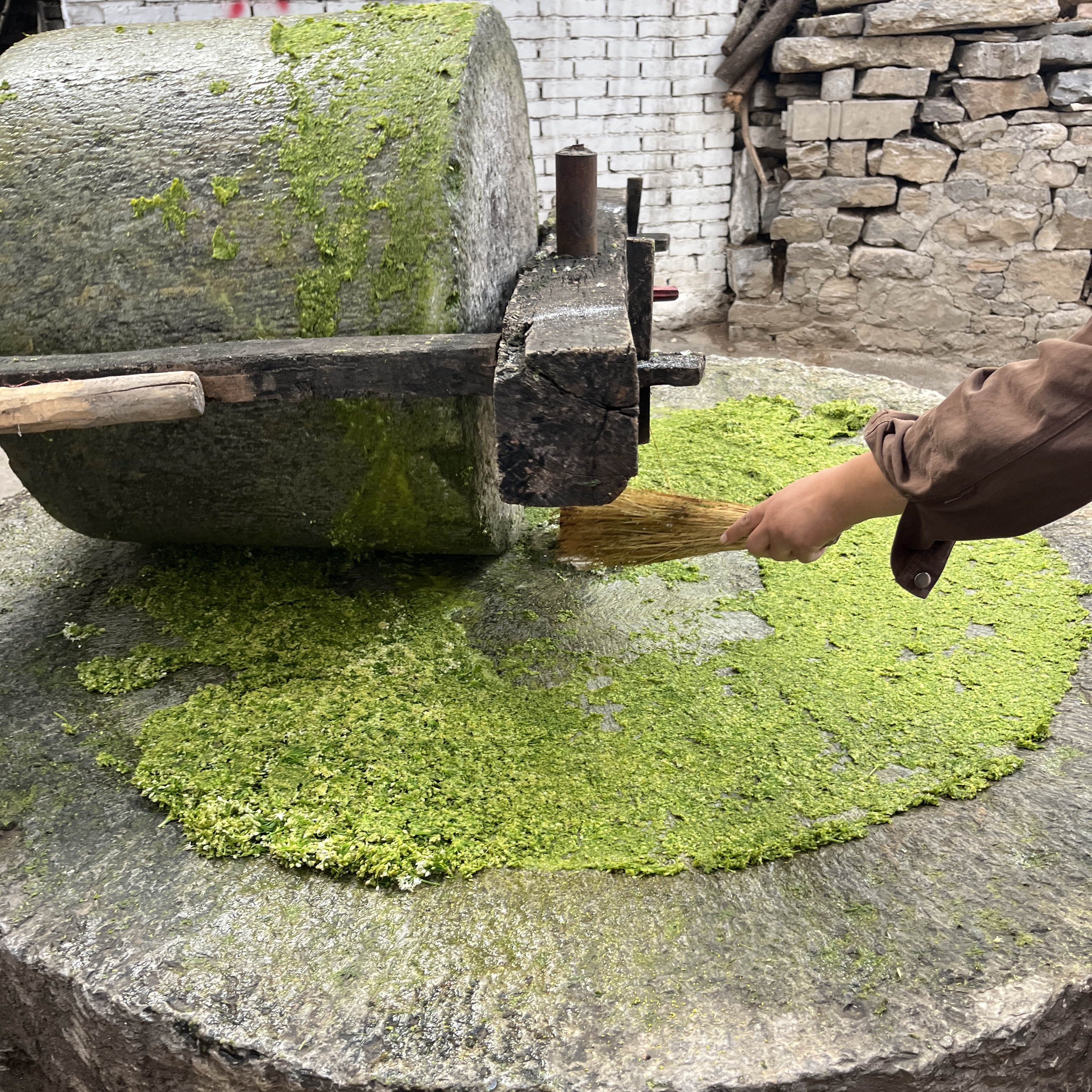 太行山野韭花老乡上山采的野生山韭花石磨碾的
