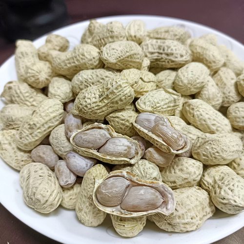 水煮白晒花生忠信水煮咸干花生新鲜软糯鲜香好吃不上火原味盐味