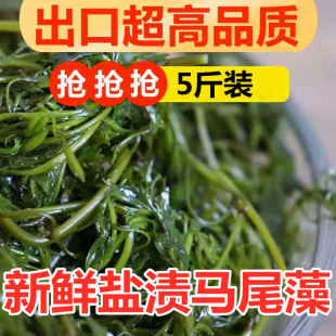 海草鞭炮笋5斤羊栖菜新鲜马尾藻长寿菜盐渍海藻菜半干货海带商用