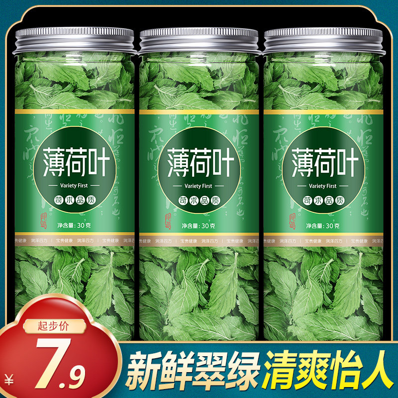 薄荷叶茶新鲜干薄荷可食用泡茶夏天泡水喝的东西清凉凉茶 降火