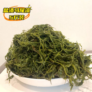 5斤鞭炮笋新鲜海草盐渍马尾藻长寿菜海带海藻羊栖菜火锅凉拌商用