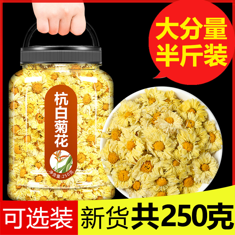 菊花茶清白正宗桐乡火胎降杭