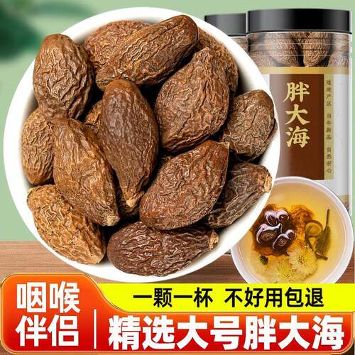 广西胖大海中药材100g喝泡水罗汉果干果甘草搭优级花茶正品旗舰店