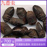 大鹏中药材九香虫 清水货500克 700元