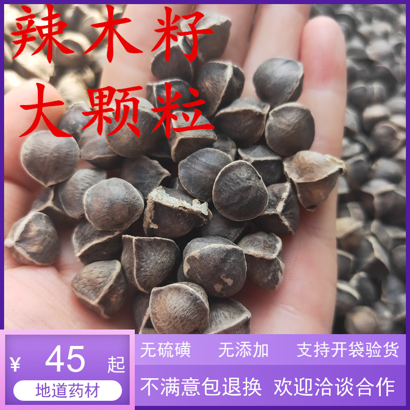 辣木新籽1斤装印度辣木籽的功效与作用进口特级正品食用500g