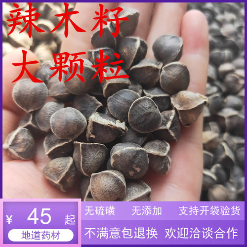 印度功效特级食用辣木籽