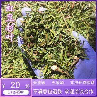 包邮 中药材 红豆杉树叶茶500克 干货红豆杉叶 店有红豆杉根皮