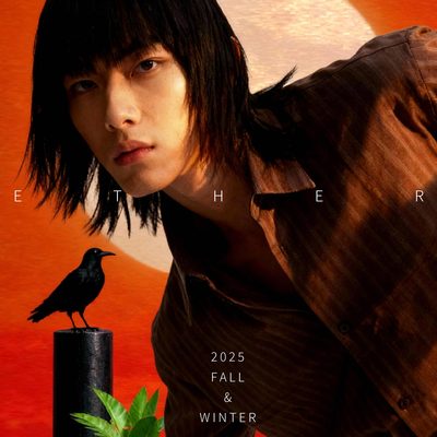 以太假说竖条纹衬衫秋季法式复古