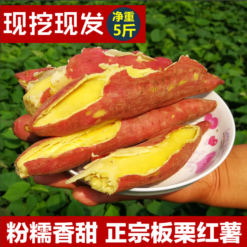 陕西北田板栗红薯新鲜临潼番薯黄番薯