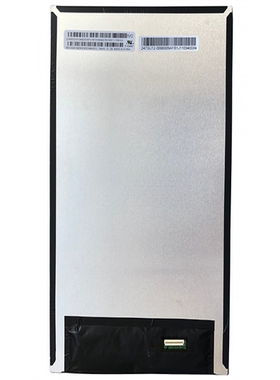 议价（IVO)M101GW4G R0 10.1 英寸IPS 1200*1920竖屏TFT-LCD液晶