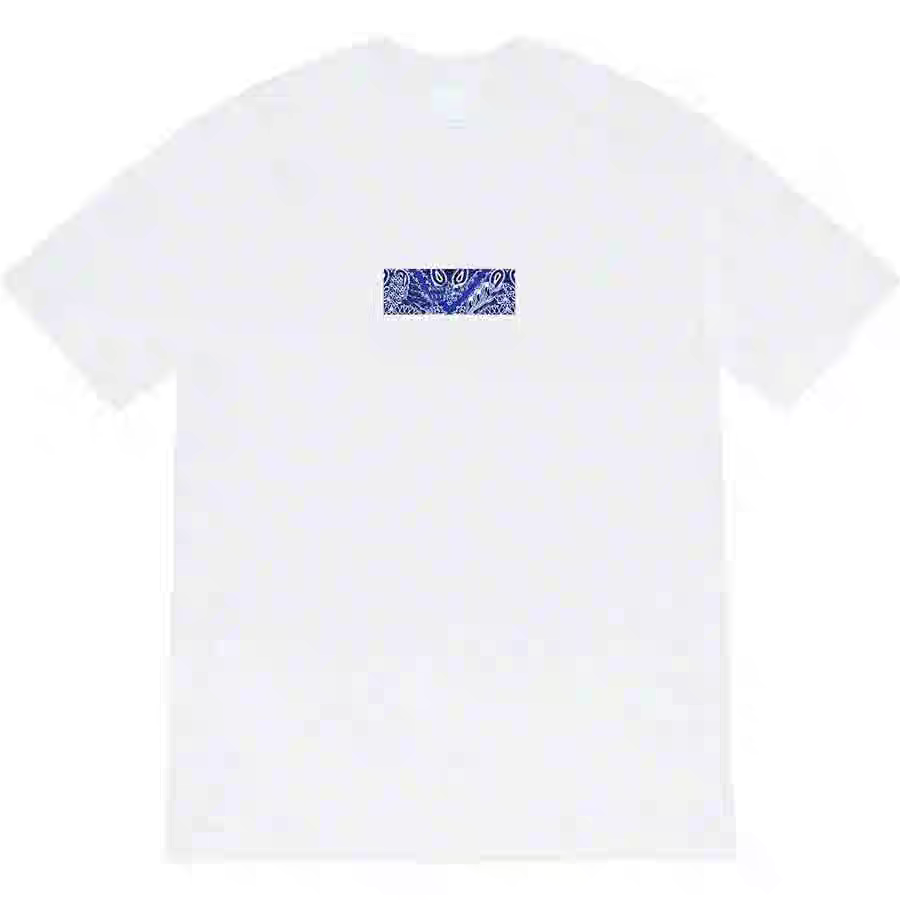 美潮自主原创19FW Bandana Box Logo Tee 腰果花 Bogo 短袖 T恤