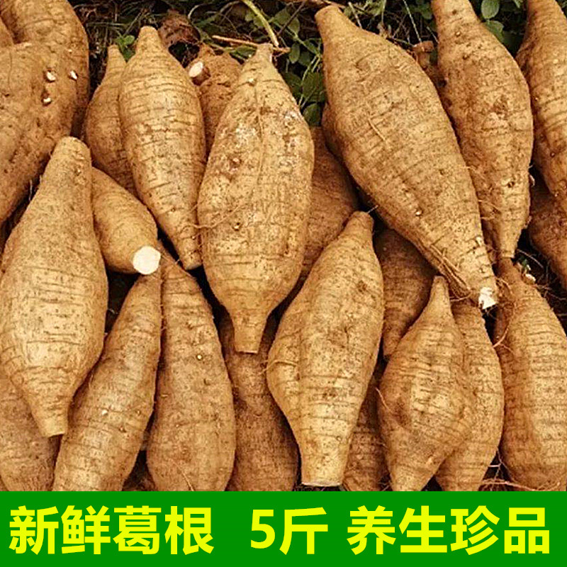 现挖新鲜粉葛 5斤包邮 广西大山葛根 南参煲汤佳品清甜可生吃葛根