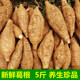 广西大山葛根 包邮 南参煲汤佳品清甜可生吃葛根 5斤 现挖新鲜粉葛