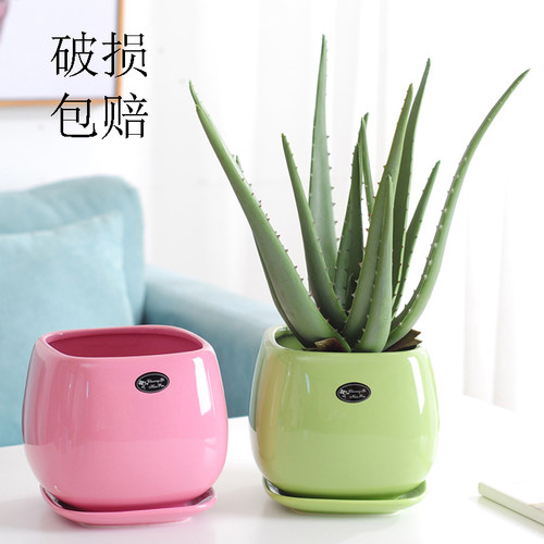 北欧简约创意方形花盆陶瓷大号家用客厅芦荟绿箩多肉君子兰蝴蝶兰