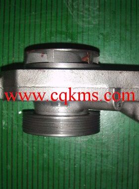 适配Cummins康明斯柴油发动机QSB3.3水泵4299026-20 SP滑模摊铺机