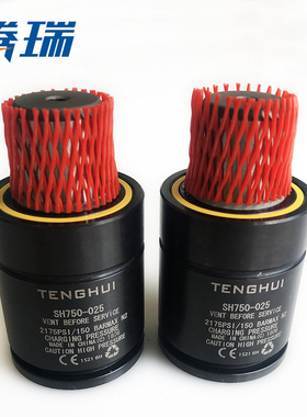 汽车模氮气缸弹簧 五金弹簧 冲压氮气缸 UN系列外径75压力1500KG