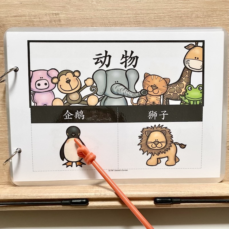 安静书2-5岁识字早教认知卡益智