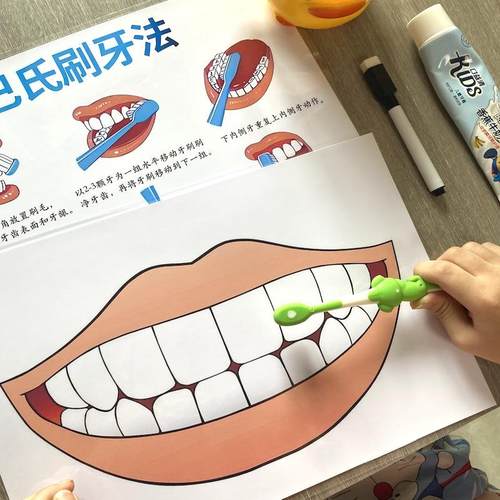 蒙氏教具精细动作训早教玩具小班材料幼儿园生活区域刷牙训练认知