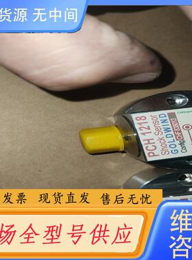 请询价-PCH1218，库存剩余2支