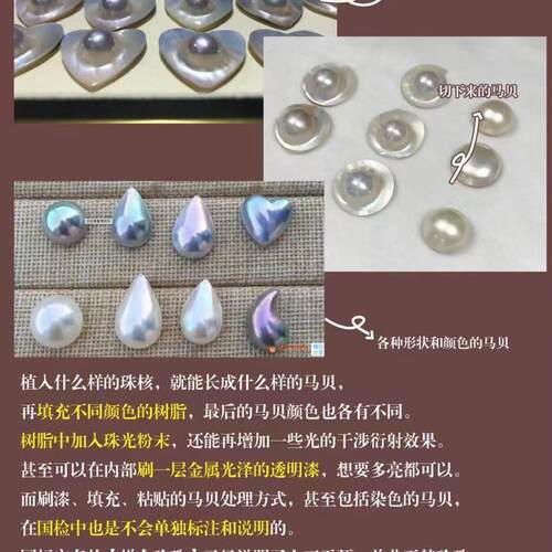 不要拍，海水马贝科普链接