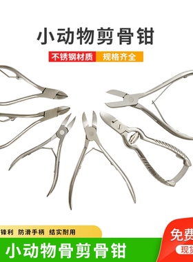 小动物骨剪骨钳 不锈钢动物解剖骨剪 大鼠 小鼠咬骨剪 老鼠咬骨钳