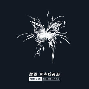 她画 防水持久女半永久草木不反光tattoo 烟花蝴蝶草本植物纹身贴
