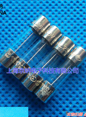 玻璃保险丝T10A 250V 5x20 T10AL250VP保险丝 进口原装