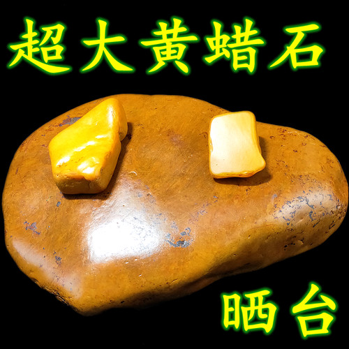 天然黄蜡石乌龟石头超大号